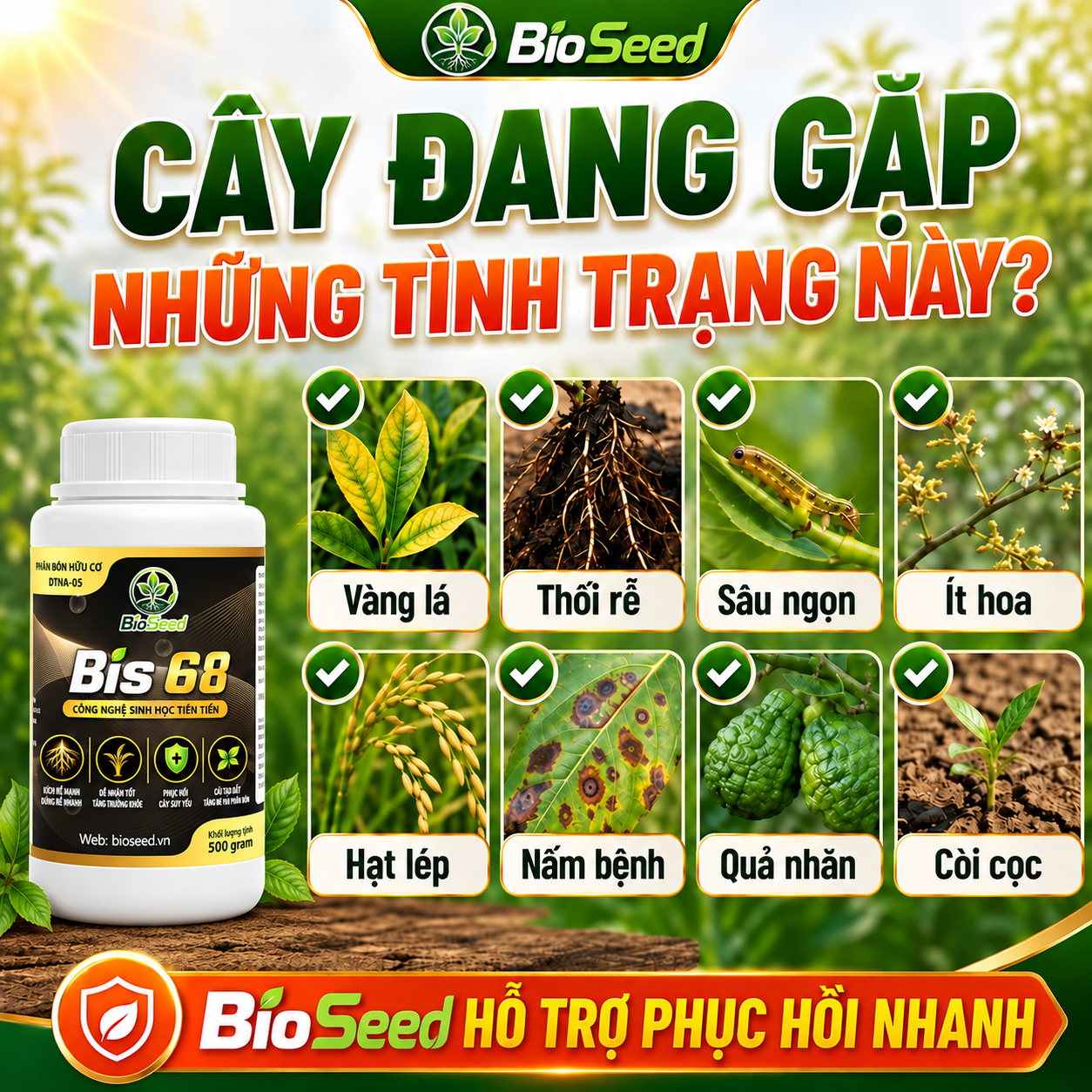 Cây đang gặp những tình trạng này? BioSeed hỗ trợ phục hồi nhanh